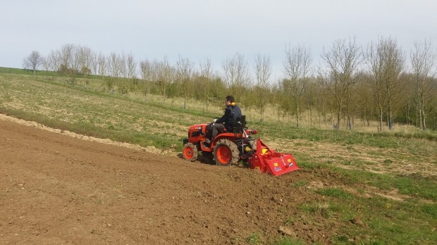 Préparation-sol-safran-dragon