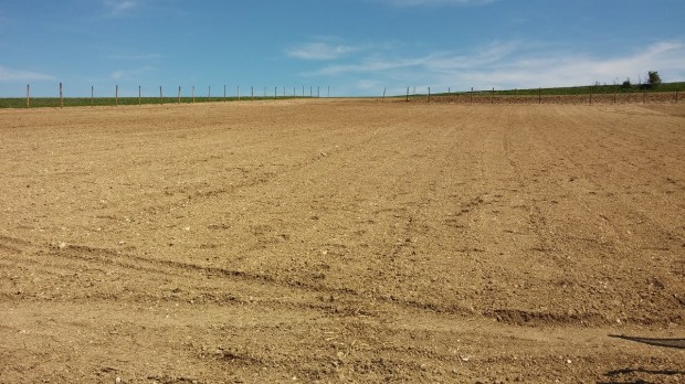 Type-sol-safran-dragon